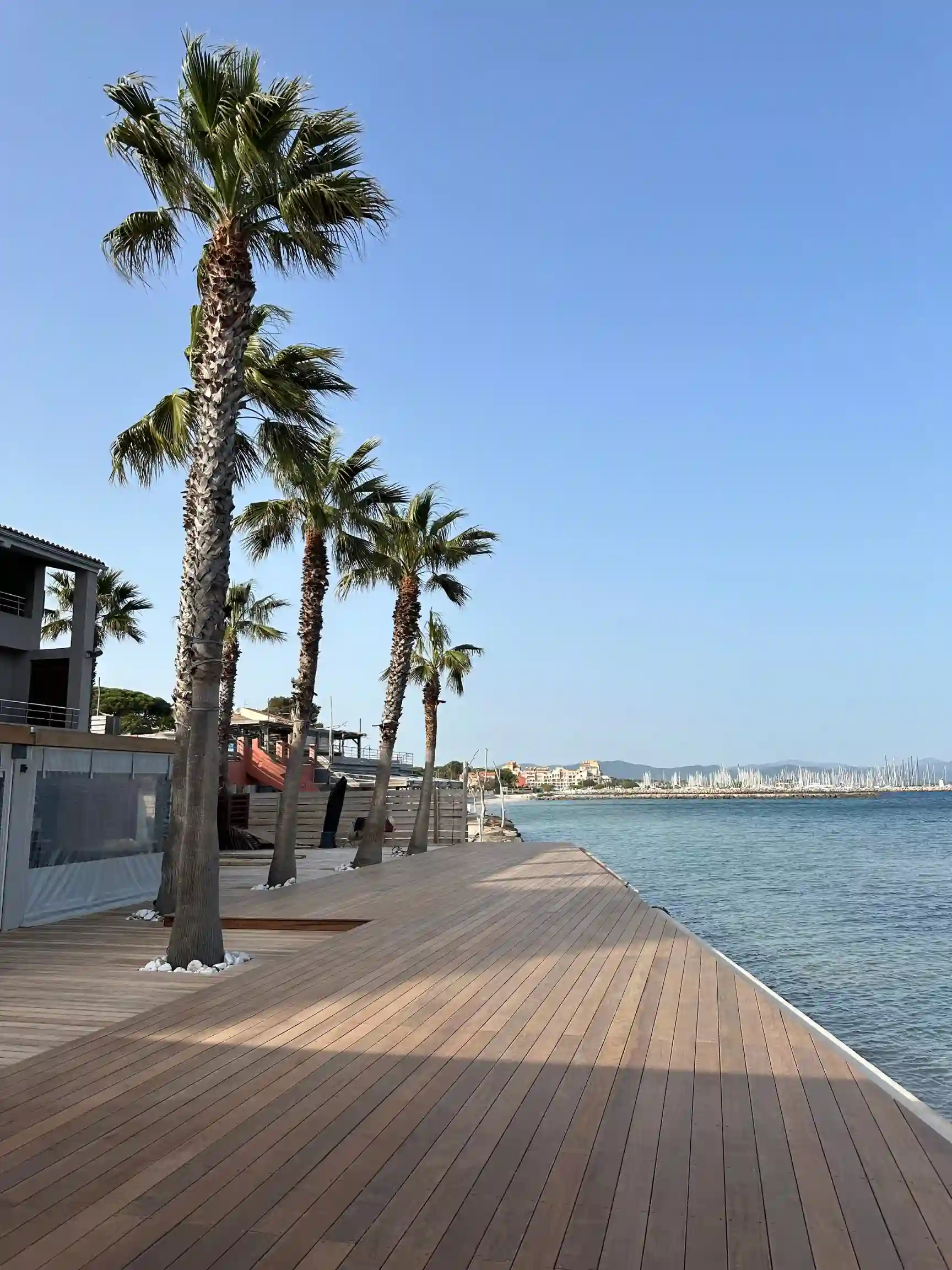 Aménagement d'une grande terrasse en bois exotique en bord de mer avec des palmiers à Hyères, réalisé par un architecte paysagiste.