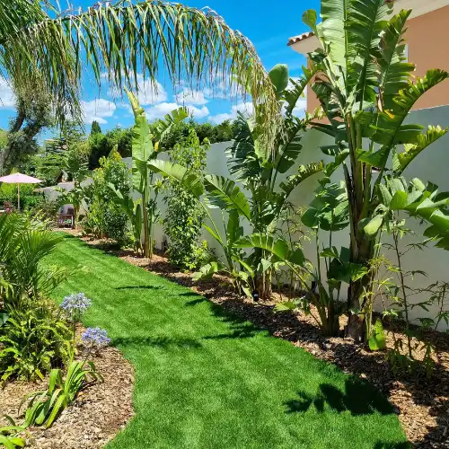Aménagement paysager exotique dans le Var : création d'une pelouse verdoyante bordée d'un massif de bananiers et plantes tropicales le long d'un mur blanc.