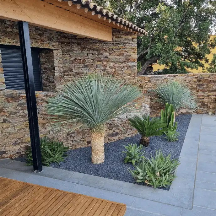 Massif de jardin sec contemporain intégré à une terrasse : Yucca rostrata et Cycas plantés sur un paillage de gravier gris foncé, contrastant avec un mur en parement de pierre naturelle et une structure bois.