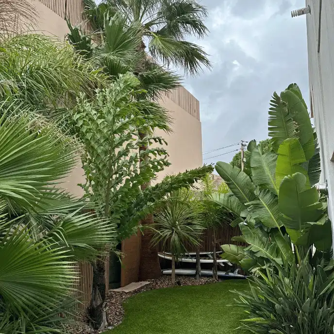 Espace détente "lounge" dans un jardin exotique : grande terrasse en bois exotique couverte par une pergola bioclimatique moderne gris anthracite, équipée d'un salon de jardin confortable et bordée de plantations tropicales.
