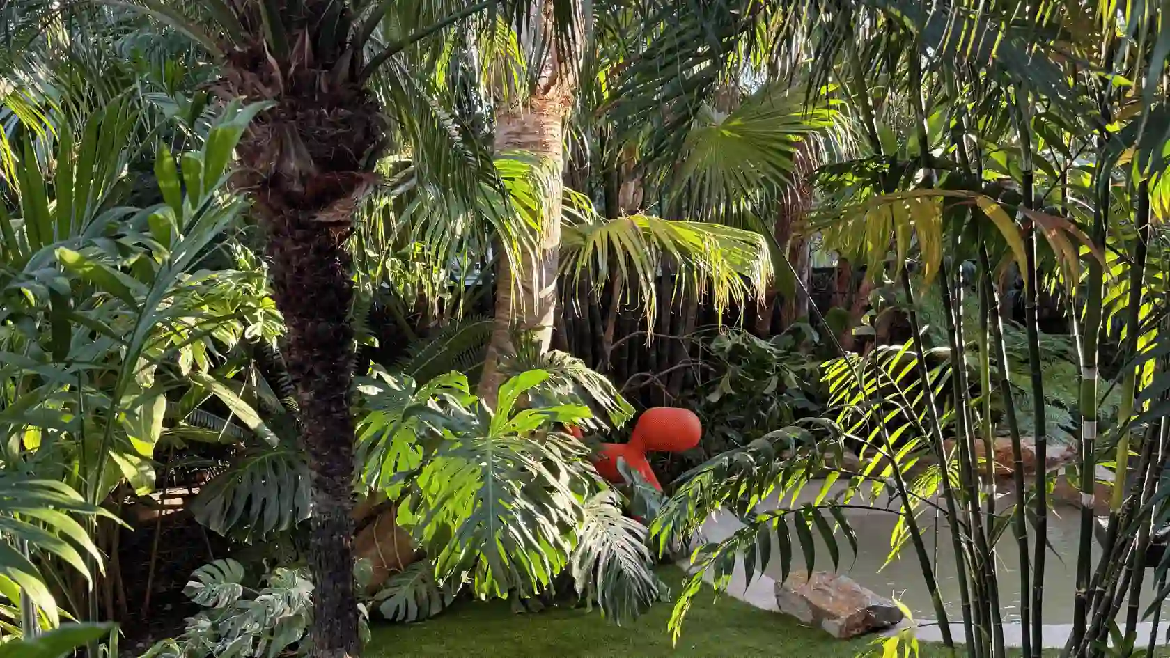 Immersion totale dans un jardin exotique réalisé dans le Var : accumulation dense de palmiers, monsteras géants et bambous créant une ambiance de jungle, rehaussée par une sculpture design orange.