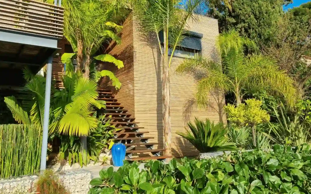 Création de jardin exotique à Hyères par L'Empreinte Verte : aménagement paysager luxuriant avec palmiers, bananiers et cycas autour d'une villa contemporaine en bois.