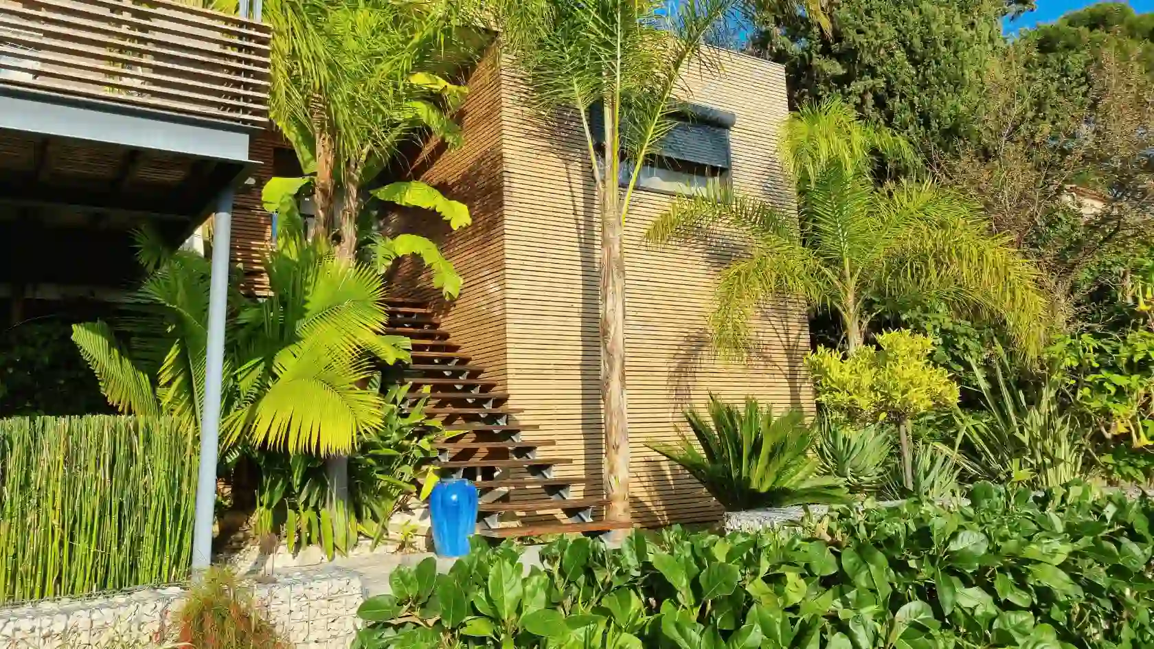 Création de jardin exotique à Hyères par L'Empreinte Verte : aménagement paysager luxuriant avec palmiers, bananiers et cycas autour d'une villa contemporaine en bois.