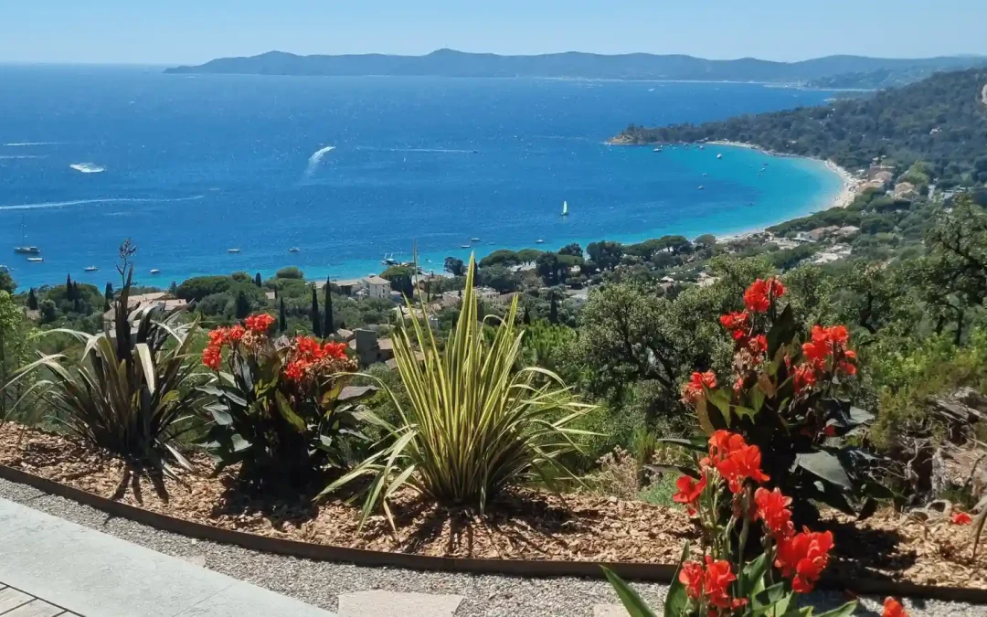 Aménagement de jardin exotique en surplomb de la mer dans le Var : massif vibrant de Cannas rouges et de Phormiums graphiques bordant une terrasse, avec vue panoramique sur une baie à l'eau turquoise.