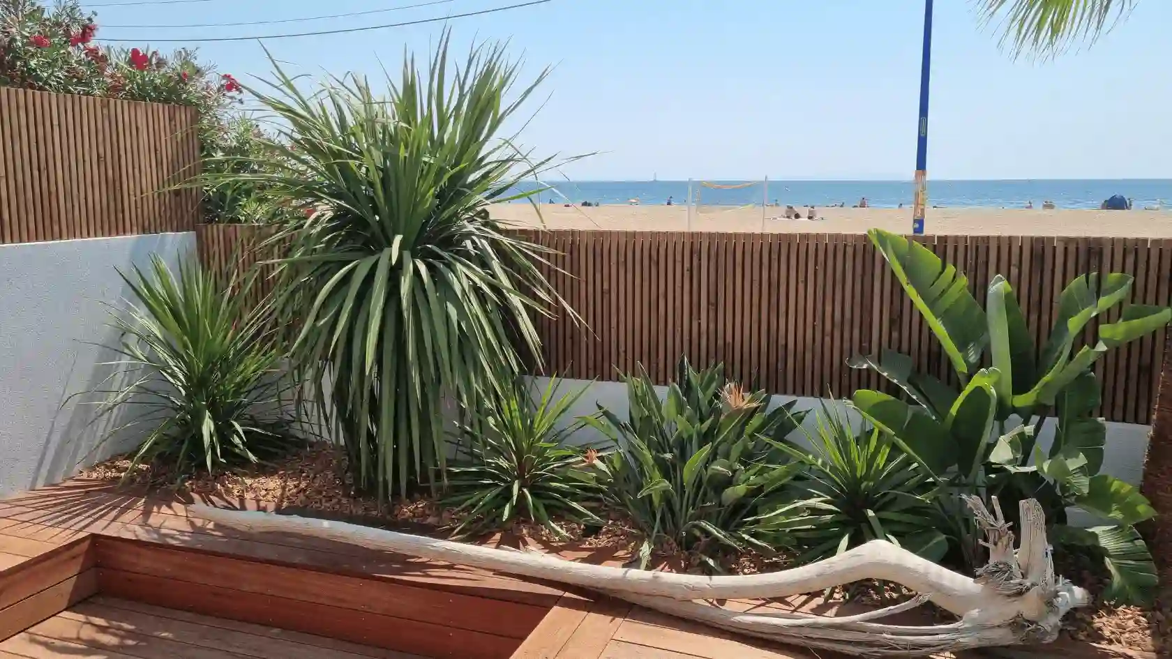 Création de jardin à thème méditerranéen (jardin sec) : allée en pas japonais pierre et paillage minéral, bordée de lavandes, romarins et plantes économes en eau dans le Var.