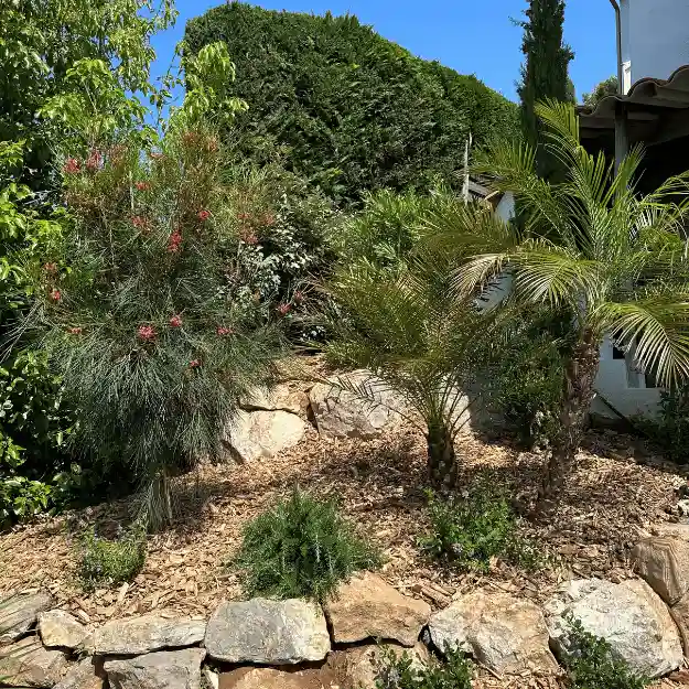 Aménagement d'un talus en jardin méditerranéen : massif surélevé retenu par des rochers naturels, sol recouvert de paillage bois pour l'humidité, et plantation de jeunes palmiers et arbustes fleuris.