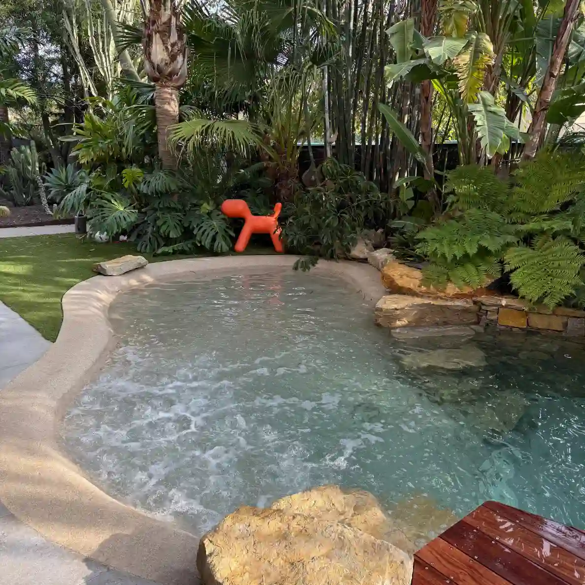 Lagon Intimiste & Design - L'Empreinte Verte Petit bassin lagon d'agrément avec rochers naturels, plage en résine et sculpture d'art contemporain (chien rouge), entouré d'une végétation tropicale dense.