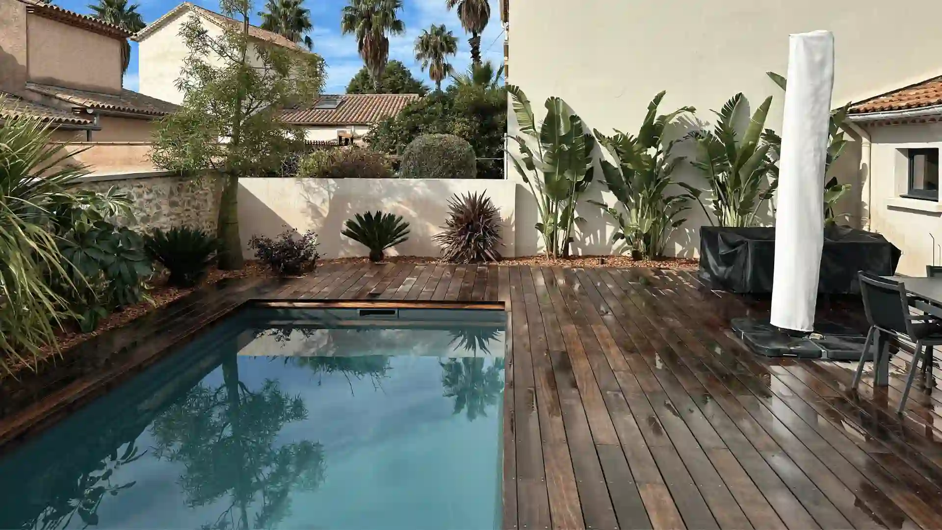 Vue d'un jardin exotique parfaitement entretenu dans le Var, avec un petit bassin de baignade moderne noir doté d'une vitre, entouré d'une haie de bambous dense et de palmiers.