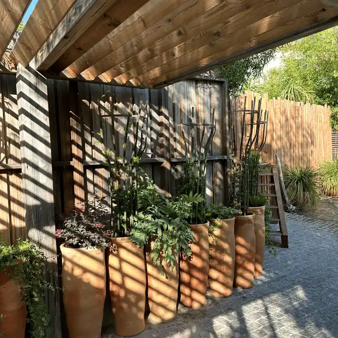Alignement de grandes jarres en terre cuite végétalisées placées sous une pergola en bois : une technique d'ombrage pour créer un micro-climat frais et limiter l'évaporation de l'eau.