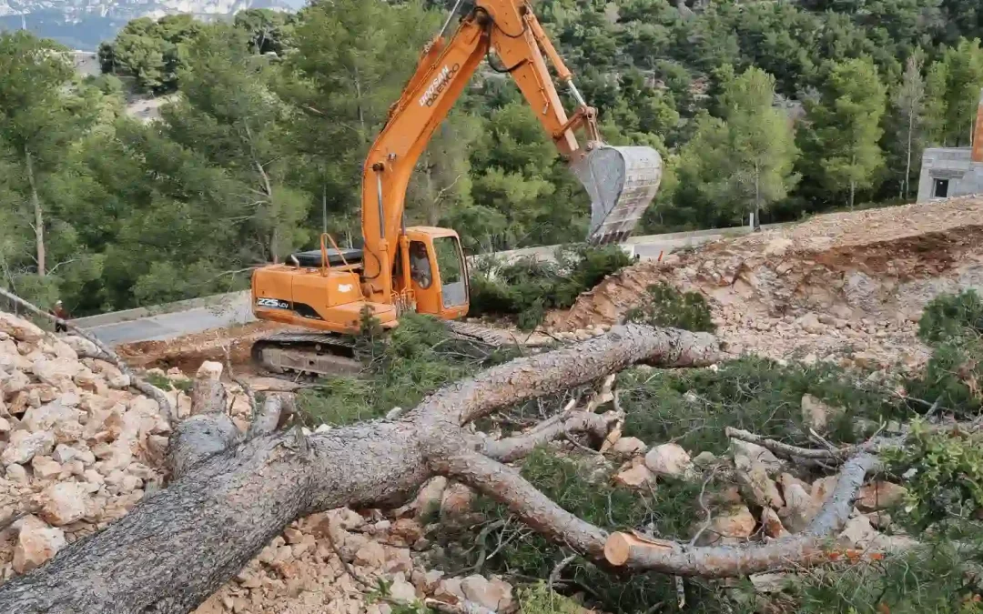Pelle mécanique effectuant des travaux de terrassement et de gestion de grands arbres sur un terrain en pente et rocailleux dans le Var.