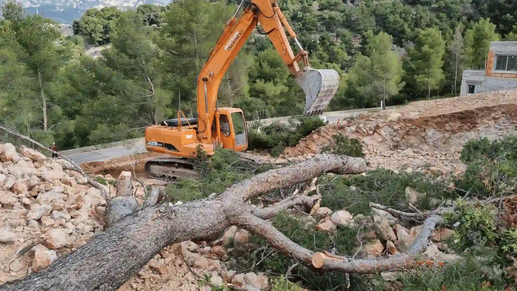 Pelle mécanique effectuant des travaux de terrassement et de gestion de grands arbres sur un terrain en pente et rocailleux dans le Var.