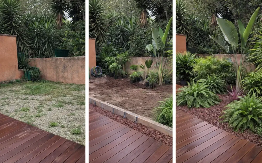 Création d’un jardin exotique à Carqueiranne : évolution avant, pendant et après l’aménagement paysager