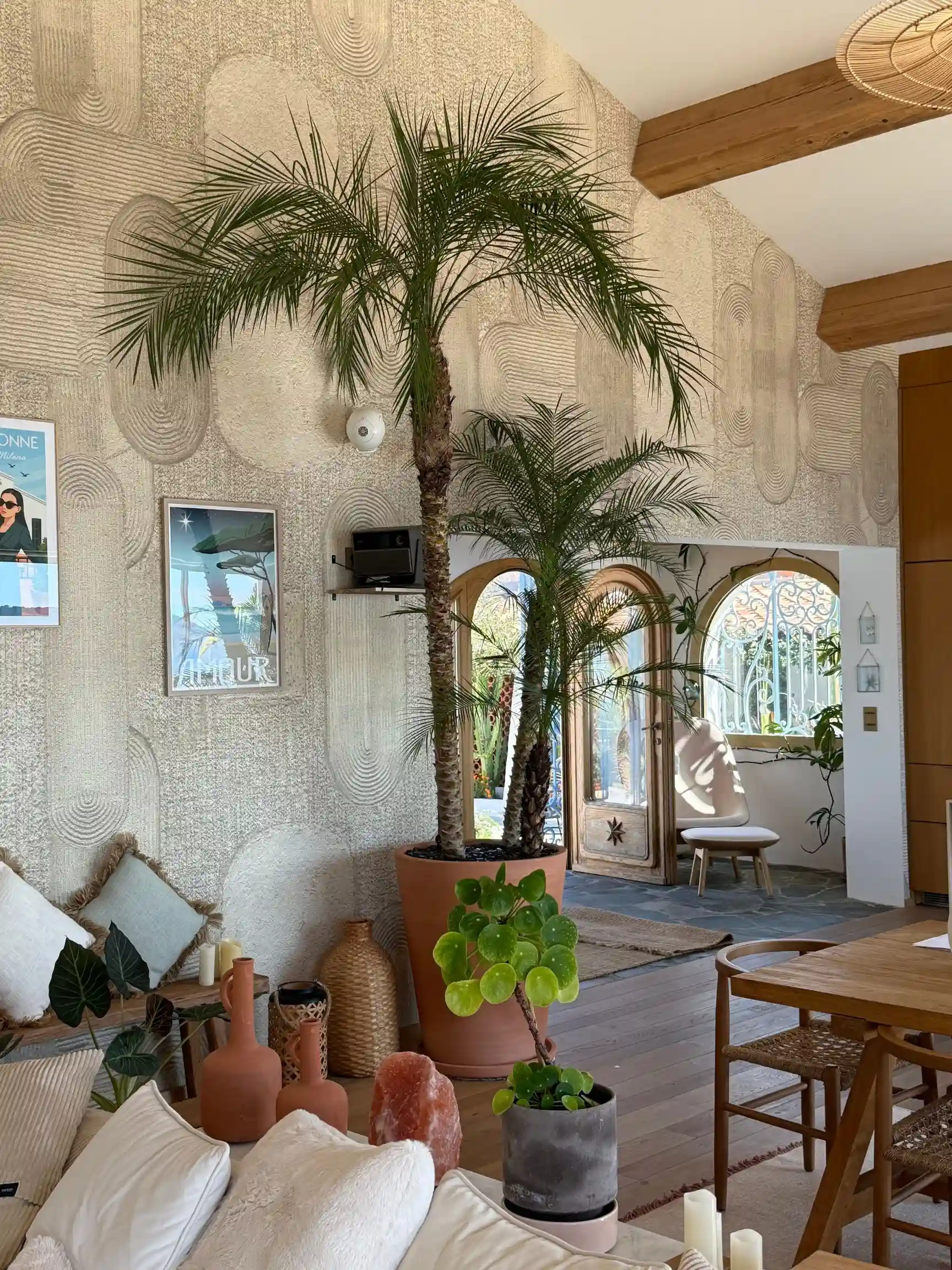 Aménagement intérieur avec palmier et plantes exotiques dans une villa à Hyères