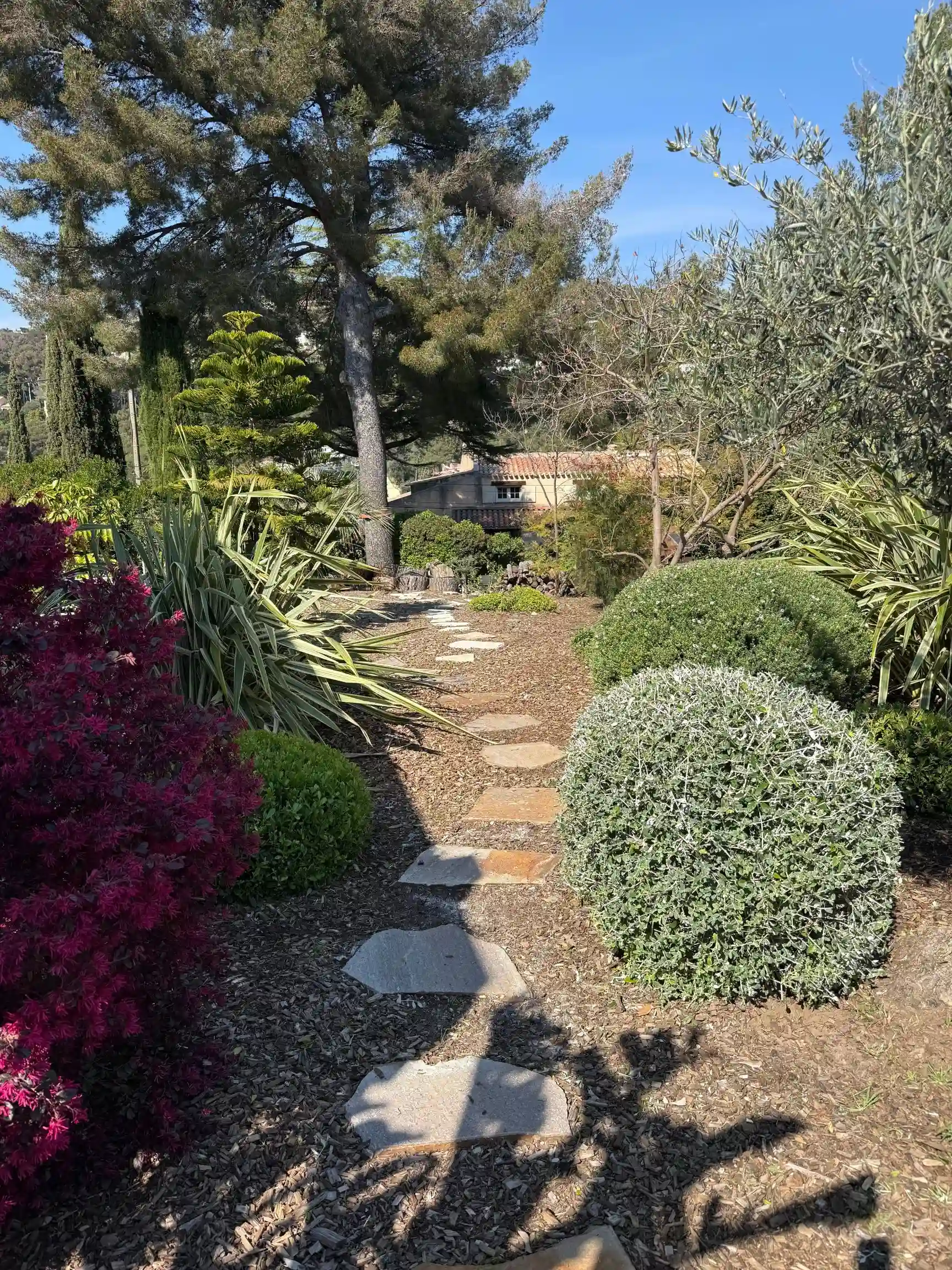 Chemin en pierre dans un jardin méditerranéen à Hyères