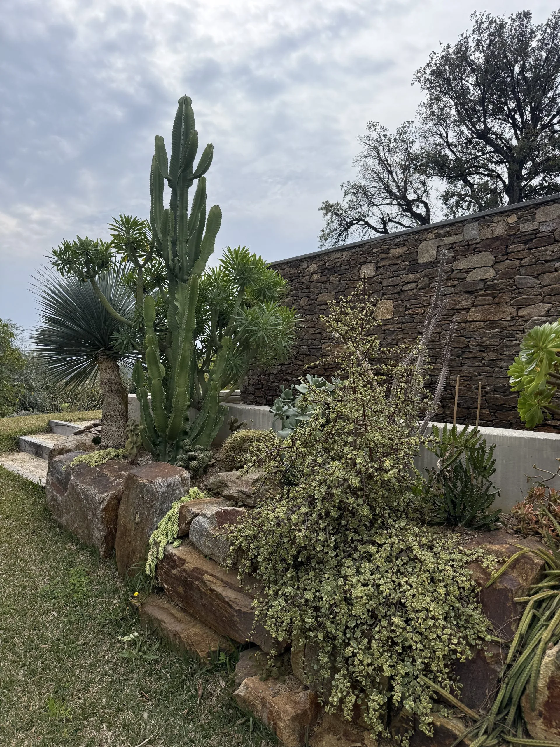 Jardin méditerranéen avec rochers et cactus à Hyères