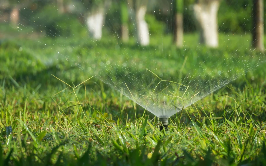 Arrosage automatique jardin le matin dans le Var — sprinkler sur pelouse verte à Hyères