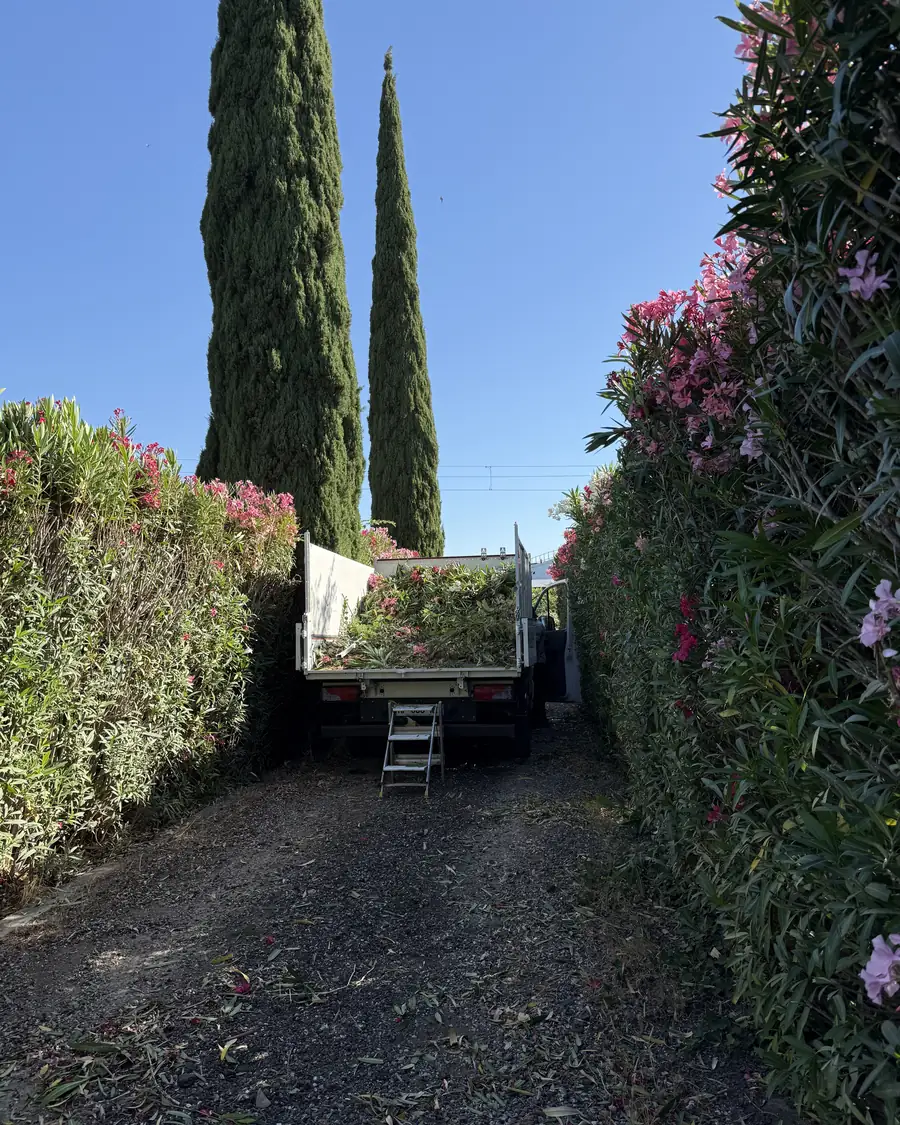 Camion benne charg&eacute; des d&eacute;chets verts issus de la taille d'une haie brise-vue dans le Var