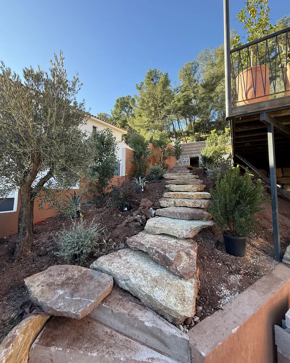 Escalier en pierre naturelle aménagé sur un terrain en pente, entouré d'oliviers, dans le Var